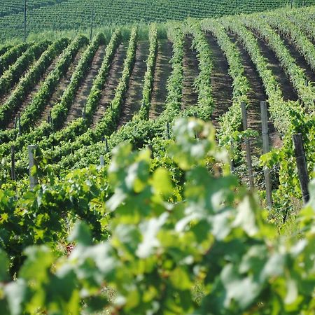 Cascina Dani Villa Agliano Terme Luaran gambar